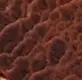 Kendi Kayışını Tasarla - Image 8